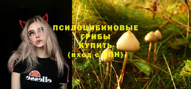 Галлюциногенные грибы Magic Shrooms  купить закладку  Саров 